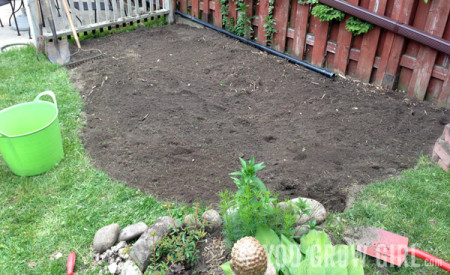 Gardening Mad – You Grow Girl