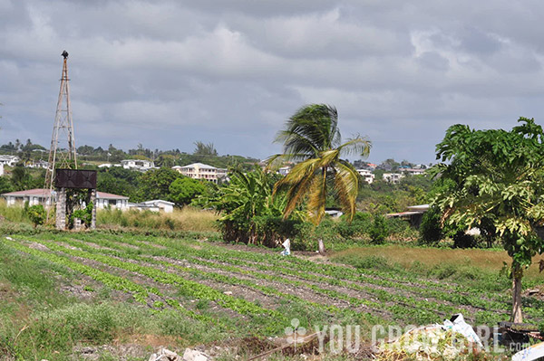 Barbados