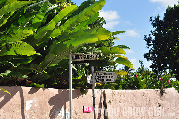 barbados3_gardens