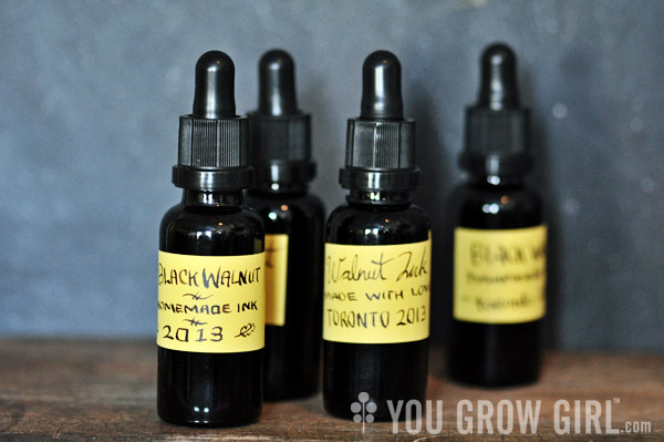 Make Your Own Black Walnut Ink – You Grow Girl