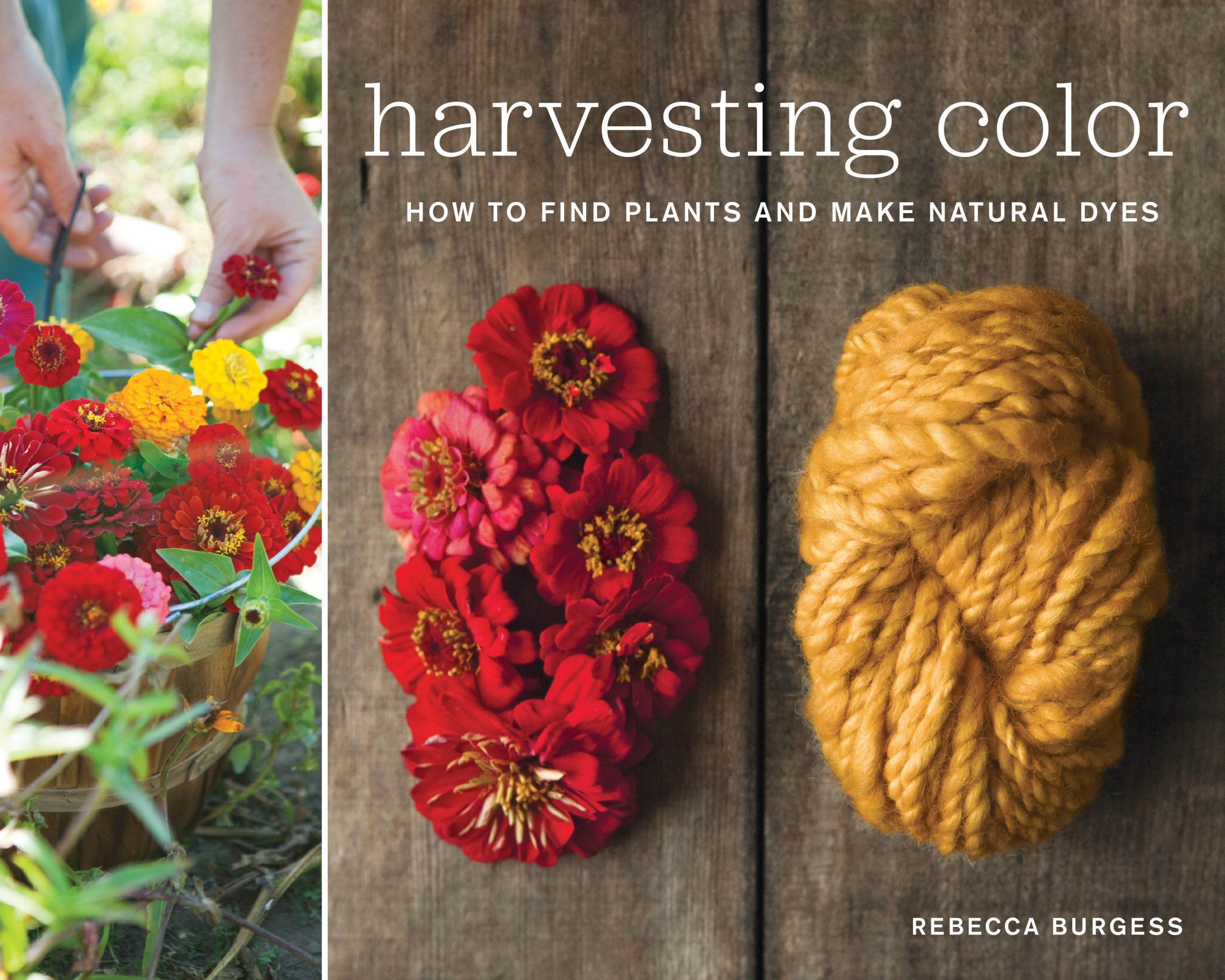 book_harvestingcolor