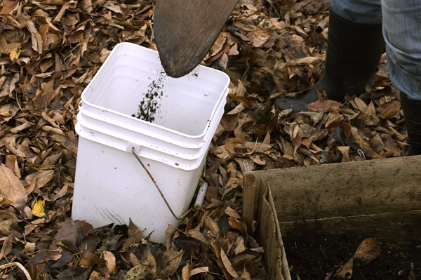 Harvesting Compost