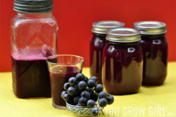 Concord Grape Juice