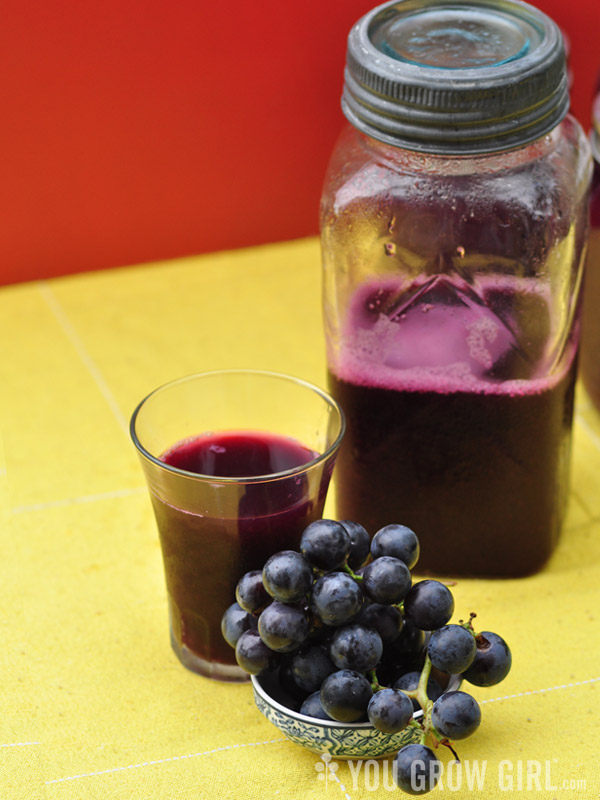 Concord Grape Juice