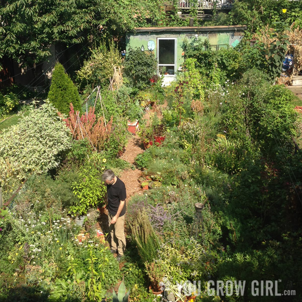 Davin working in the garden when it was a pretty big mess