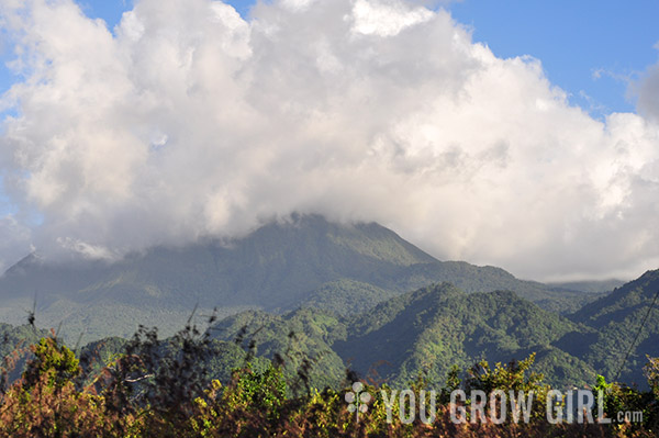 dominica5_mountain