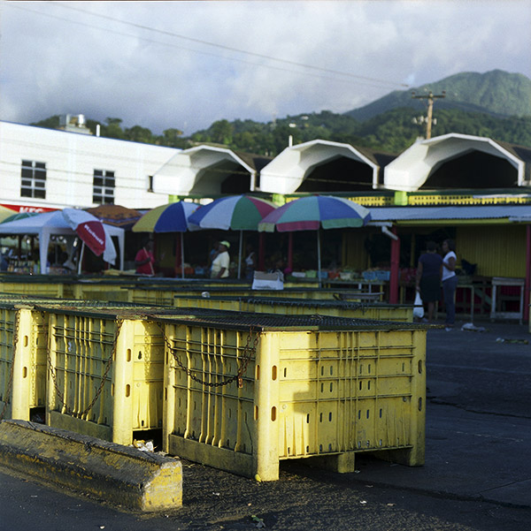 dominica6_roseaumarket