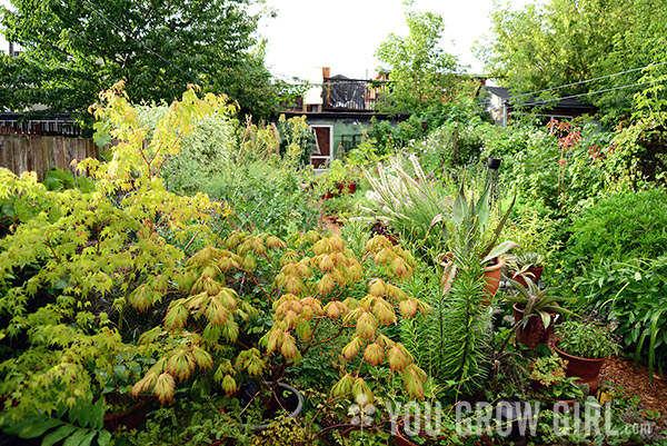 Gayla Trail Garden