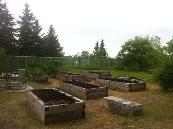 Peterborough Community Garden