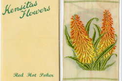 Kensitas Silk Flowers Botanical Vintage Cigarette Cards