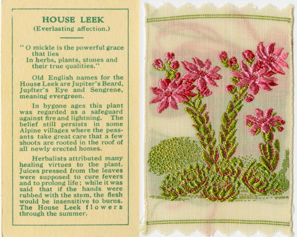 Kensitas Silk Flowers Botanical Vintage Cigarette Cards