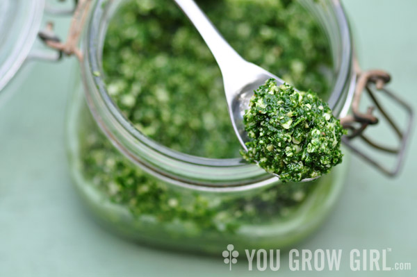 RECIPE Nasturtium Leaf Pesto You Grow Girl