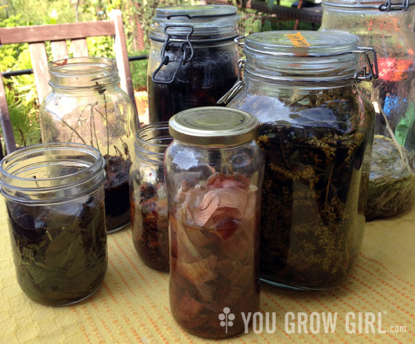 Natural Dye Jars Sun Tea