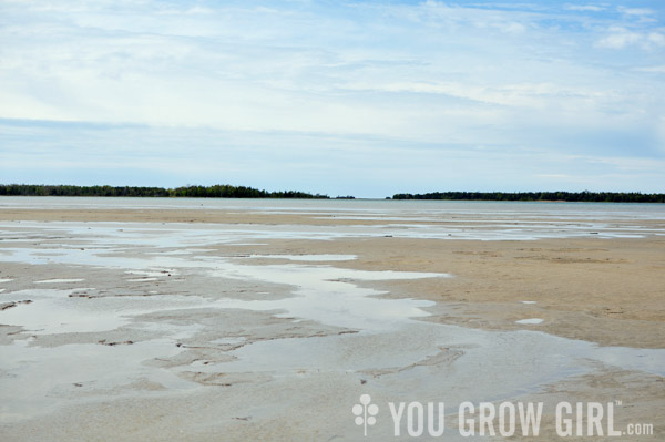 Oliphant Wetland