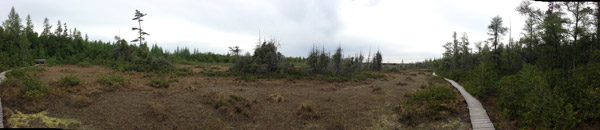 Petrel Point Fen, Bruce Peninsula