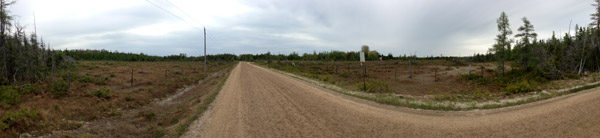 Petrel Point Fen, Bruce Peninsula