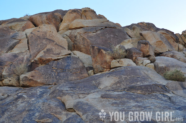 petroglyphs