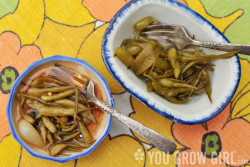 Pickled Radish Seed Pods