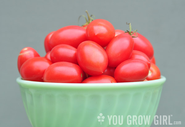 Pink San Marzano tomato