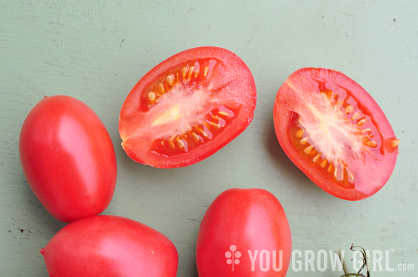 Pink San Marzano tomato