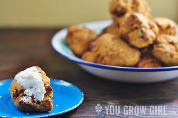 Vegan Pumpkin Scones