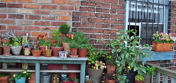 roof wall june 2010