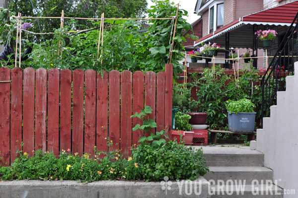 Urban Garden