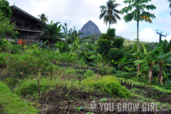 Emerald House St. Lucia