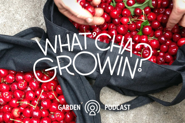 whatcha_growin_ep8