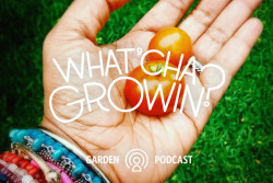 Whatcha Growin Podcast Karen Walrond