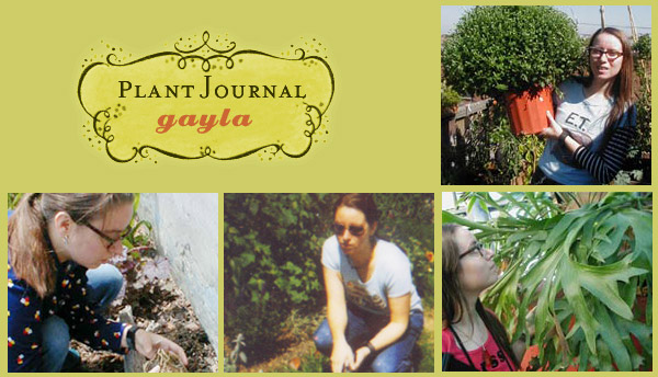 ygg_plantjournal2001